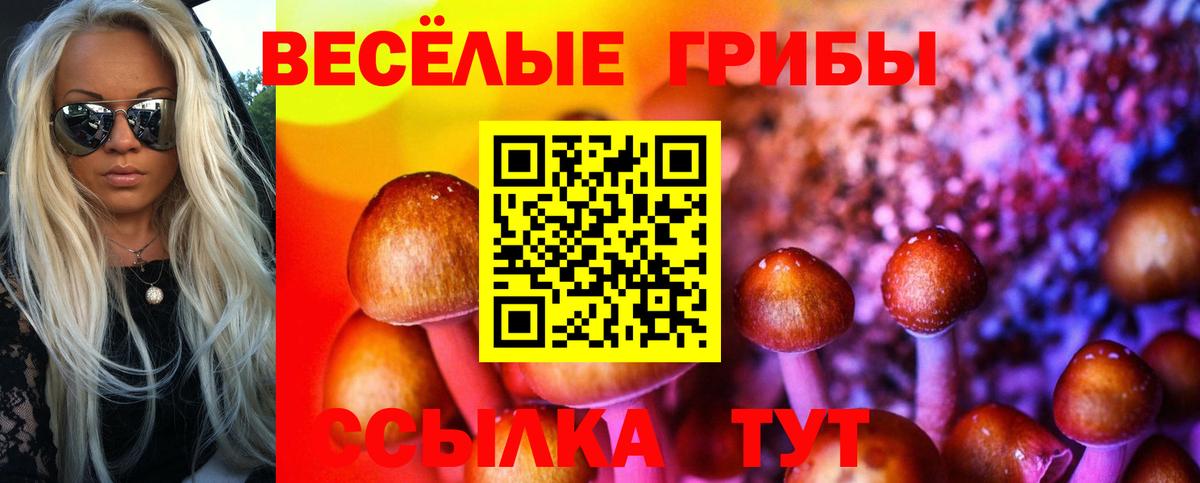 Псилоцибиновые грибы мицелий Малгобек